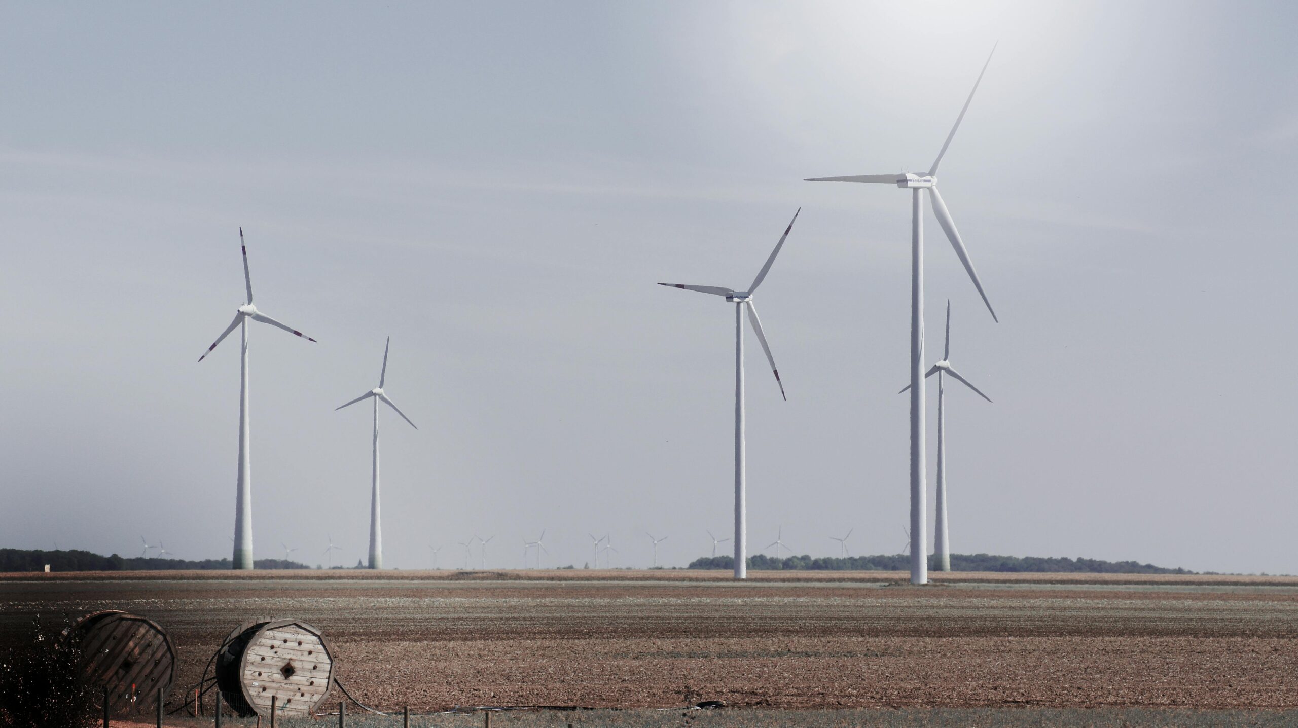 Windmolens in de Polder & Urk